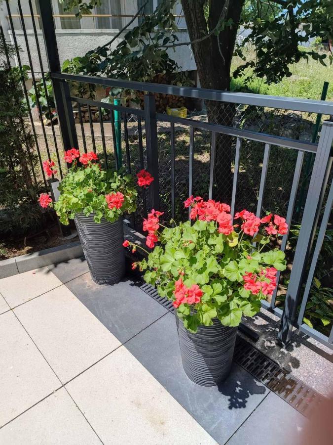 Apartament Kali Ahtopol Eksteriør billede